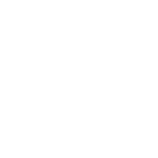 Brandzila Digital Marketing Agency